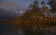 Lake Weyba Cottages Noosa - thumb 27