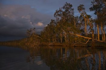Lake Weyba Cottages Noosa - Whitsundays Accommodation 27