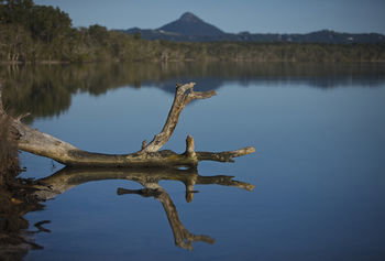 Lake Weyba Cottages Noosa - Whitsundays Accommodation 28