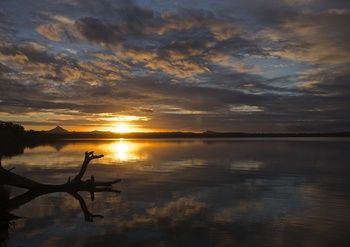 Lake Weyba Cottages Noosa - Whitsundays Accommodation 33