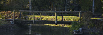 Lake Weyba Cottages Noosa - Whitsundays Accommodation 34
