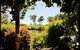Lake Weyba Cottages Noosa - thumb 36