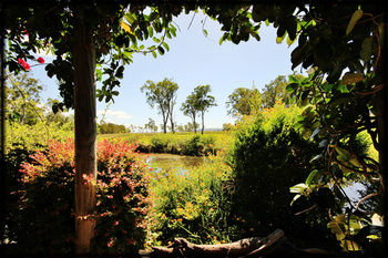 Lake Weyba Cottages Noosa - Whitsundays Accommodation 36
