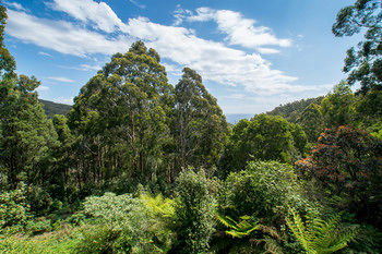 A Camelot Tower & Penthouse - Whitsundays Accommodation 46