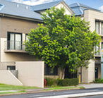 Quest Maitland Serviced Apartments - Whitsundays Accommodation