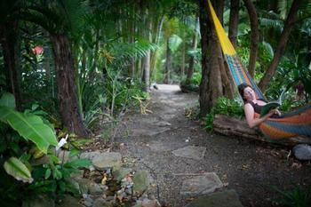 Noosa Valley Manor B&B Retreat - Whitsundays Accommodation 4