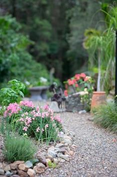 Noosa Valley Manor B&B Retreat - Whitsundays Accommodation 12