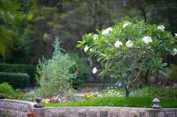 Noosa Valley Manor B&B Retreat - Whitsundays Accommodation 13