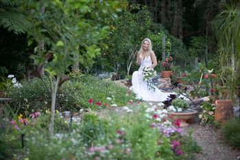 Noosa Valley Manor B&B Retreat - Whitsundays Accommodation 24