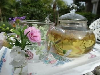 Noosa Valley Manor B&B Retreat - Whitsundays Accommodation 27