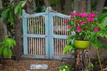 Noosa Valley Manor B&B Retreat - Whitsundays Accommodation 30