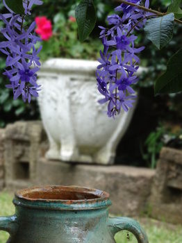 Noosa Valley Manor B&B Retreat - Whitsundays Accommodation 31