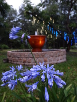 Noosa Valley Manor B&B Retreat - Whitsundays Accommodation 34