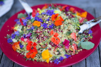 Noosa Valley Manor B&B Retreat - Whitsundays Accommodation 36