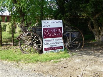 De'Vine Escape - Whitsundays Accommodation 3