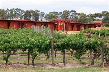 De'Vine Escape - Whitsundays Accommodation 4