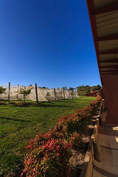 De'Vine Escape - Whitsundays Accommodation 5