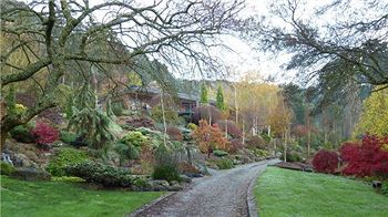 Mast Gully Gardens Bed & Breakfast - Whitsundays Accommodation 0