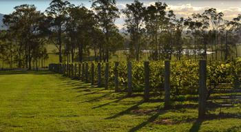 H Boutique Hotel - Whitsundays Accommodation 34