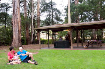 BIG4 Yarra Valley Holiday Park - Whitsundays Accommodation 0