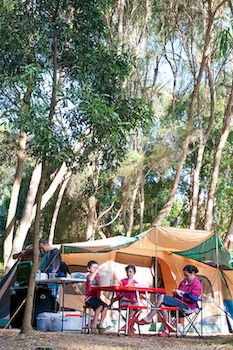 BIG4 Yarra Valley Holiday Park - Whitsundays Accommodation 8