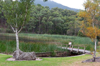 BIG4 Yarra Valley Holiday Park - Whitsundays Accommodation 12
