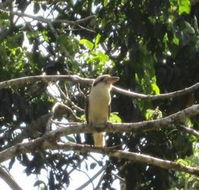 Sunshine Valley Cottages - Whitsundays Accommodation