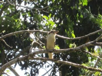 Sunshine Valley Cottages - Whitsundays Accommodation 0