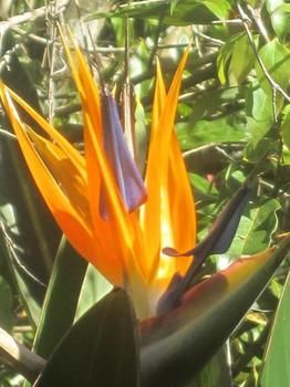 Sunshine Valley Cottages - Whitsundays Accommodation 1