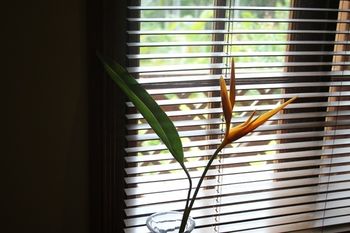 Sunshine Valley Cottages - Whitsundays Accommodation 14