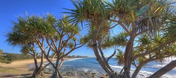 Alex Beach Cabins - Whitsundays Accommodation 1