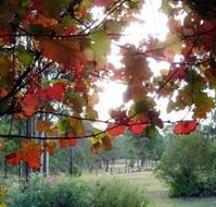 Elfin Hill Country Accommodation - Whitsundays Accommodation