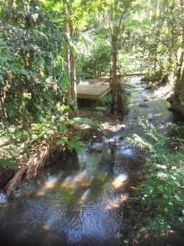 Treetops Accommodation Montville - Whitsundays Accommodation 0