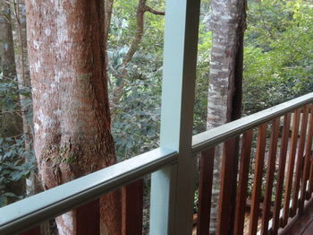 Treetops Accommodation Montville - Whitsundays Accommodation 9