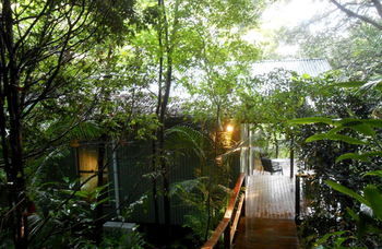 Treetops Accommodation Montville - Whitsundays Accommodation 12