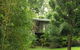 Treetops Accommodation Montville - thumb 13