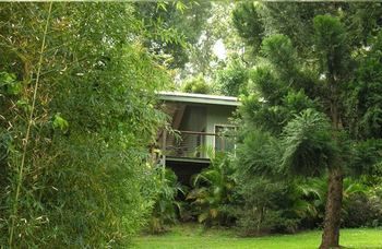 Treetops Accommodation Montville - Whitsundays Accommodation 13