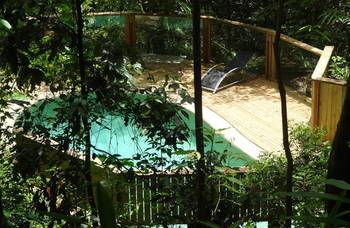 Treetops Accommodation Montville - Whitsundays Accommodation 16