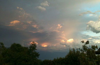 Treetops Accommodation Montville - Whitsundays Accommodation 27