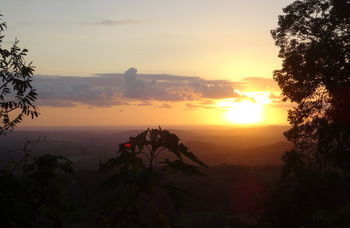 Treetops Accommodation Montville - Whitsundays Accommodation 30