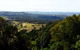 Treetops Accommodation Montville - thumb 31