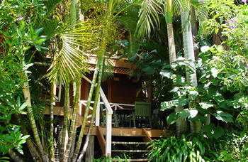 Treetops Accommodation Montville - Whitsundays Accommodation 54