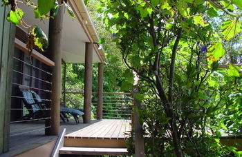 Treetops Accommodation Montville - Whitsundays Accommodation 59