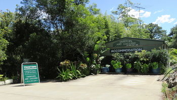 Treetops Accommodation Montville - Whitsundays Accommodation 67