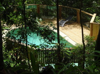 Treetops Accommodation Montville - Whitsundays Accommodation 74