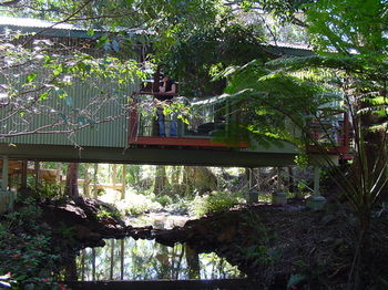 Treetops Accommodation Montville - Whitsundays Accommodation 87