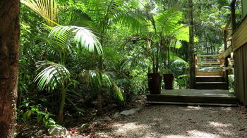 Treetops Accommodation Montville - Whitsundays Accommodation 89