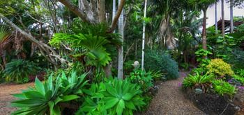 Maleny Tropical Retreat Balinese B&b - Whitsundays Accommodation 11