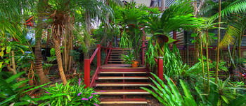 Maleny Tropical Retreat Balinese B&b - Whitsundays Accommodation 14