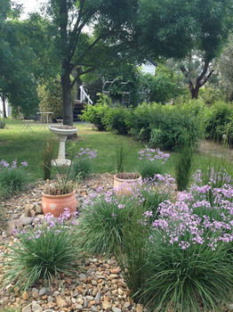 Yarraglen BnB - Whitsundays Accommodation 19